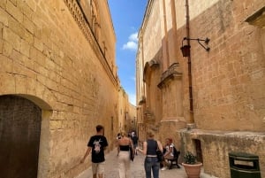 From Sliema: Mdina and Rabat Trip