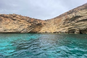 From Mellieha: Comino Caves and Blue Lagoon Speedboat Tour