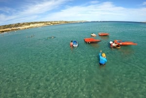 Baia di Mellieha: lezione di wing foiling