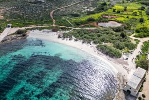Mellieha: Kreuzfahrt zur Blauen Lagune, Kristalllagune und Halfa Rock