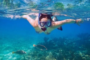 Mellieha: Kreuzfahrt zur Blauen Lagune, Kristalllagune und Halfa Rock