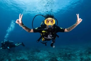 Mellieha: Introductory Diving Session in the Open Sea