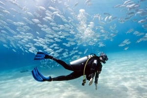 Mellieha: Introductory Diving Session in the Open Sea