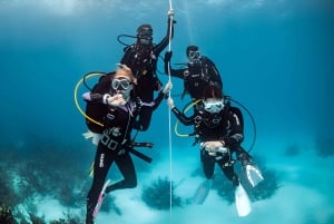 Mellieha: Introductory Diving Session in the Open Sea