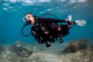 Mellieha: Introductory Diving Session in the Open Sea