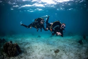 Mellieha: Introductory Diving Session in the Open Sea