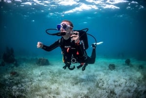 Mellieha: Introductory Diving Session in the Open Sea