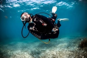 Mellieha: Introductory Diving Session in the Open Sea