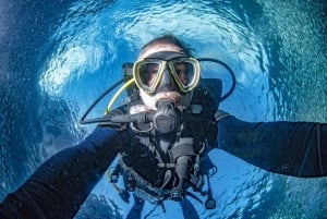 Mellieha: Introductory Diving Session in the Open Sea