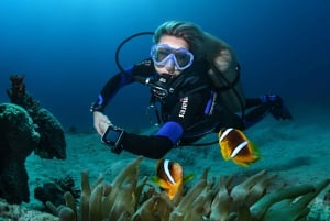 Mellieha: Introductory Diving Session in the Open Sea