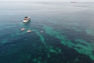 Mellieha: Mega SUP Tour