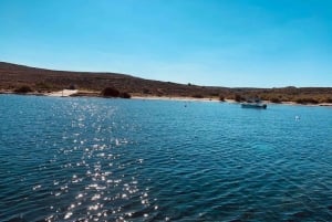 Mellieha: Barco privado para 5 pessoas para Comino & Blue Lagoon