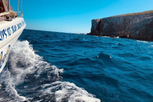 Mellieha: 1:00pm Speedboat round Comino Caves 2h Blue Lagoon