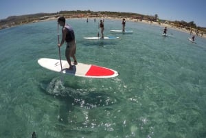 Mellieha: Stand-Up-Paddleboarding-Unterricht