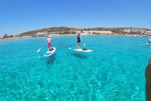 Mellieha: Stand-Up-Paddleboarding-Unterricht