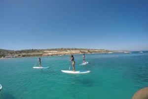 Mellieha: Stand-Up-Paddleboarding-Unterricht