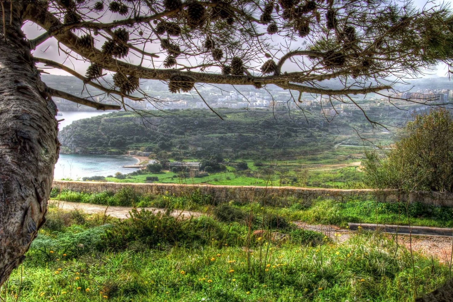 Mistra Valley and Selmun Private Nature Tour with Transport