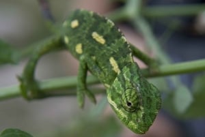 Mistra Valley and Selmun Private Nature Tour with Transport