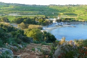 Mistra Valley and Selmun Private Nature Tour with Transport