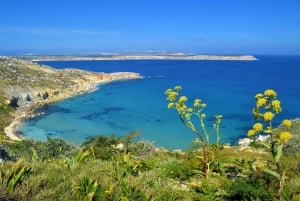 Mistra Valley and Selmun Private Nature Tour with Transport