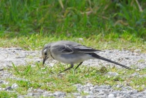 Mistra Valley and Selmun Private Nature Tour with Transport