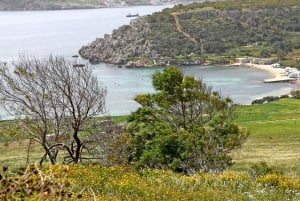 Mistra Valley and Selmun Private Nature Tour with Transport