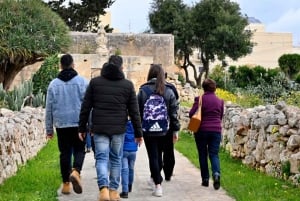 Mosta: Official Rotunda, WWII Shelter, and Buffet Meal Tour