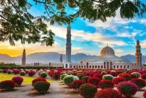 Muscat :evening group city tour with pick-up