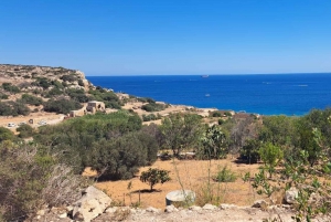 Noord Malta: Quad tour met land, zee en zwemmen