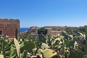 Det nordlige Malta: Quadbike-tur med naturskønt land, hav og svømning