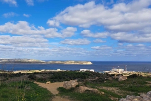 Norra Malta: Fyrhjulingstur med naturskönt land, hav och bad