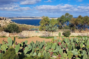 Malta Nord: Tour in quad con paesaggi terrestri, marini e balneari