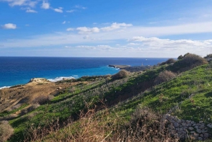 Det nordlige Malta: Quadbike-tur med naturskønt land, hav og svømning