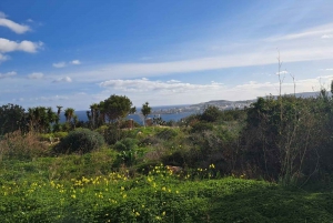 Malta Nord: Tour in quad con paesaggi terrestri, marini e balneari