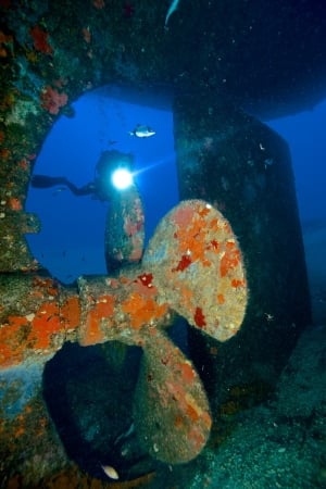 OrangeShark Diving Centre