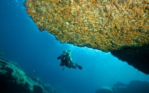 OrangeShark Diving Centre
