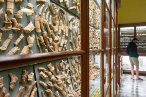 Prehistoric Temples of Malta Tour