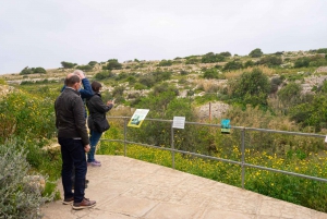 Prehistoric Temples of Malta Tour