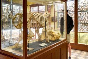 Prehistoric Temples of Malta Tour