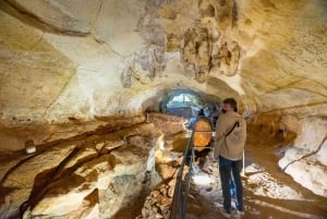 Visite des temples préhistoriques de Malte