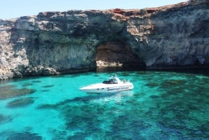 Private charters comino boat trips