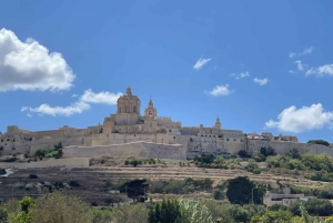 Private Chauffeur: Discover Malta's Treasures with a Local!