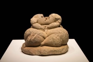 سائق خاص للتجول في جزيرة مالطا (VIP)