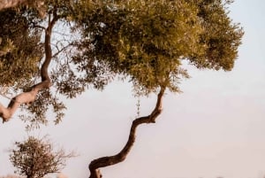 Privat professionel feriefotoshoot i Malta