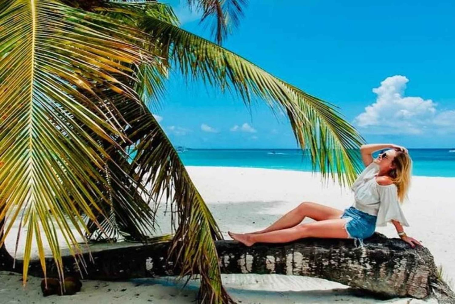 Tour privato: scopri l'isola di Saona in motoscafo e catamarano