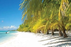 Tour privato: scopri l'isola di Saona in motoscafo e catamarano