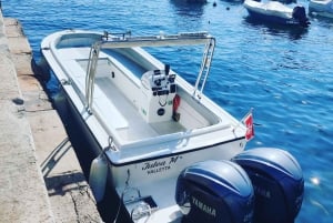 Private speedboat charter for Comino, Gozo, Blue Lagoon