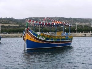 Seahorse Cruises