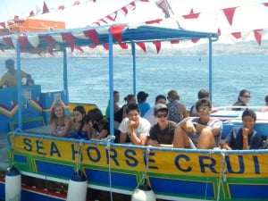 Seahorse Cruises