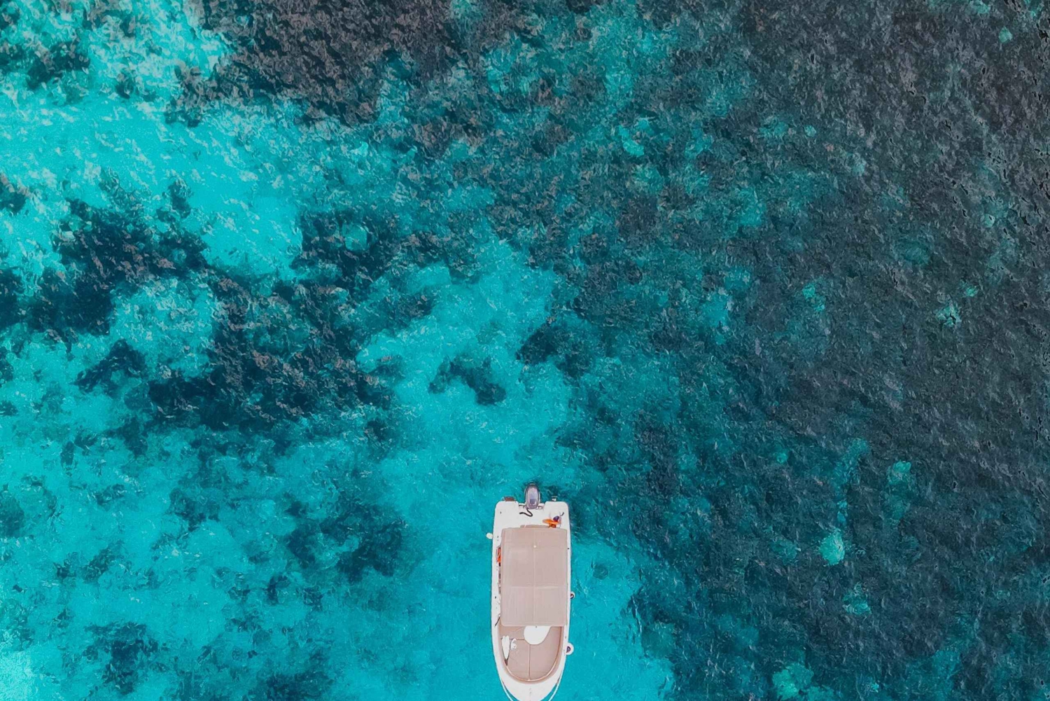 SerenityBoatChartersMalta: Blå lagunen, Comino, Gozo och havsgrottor